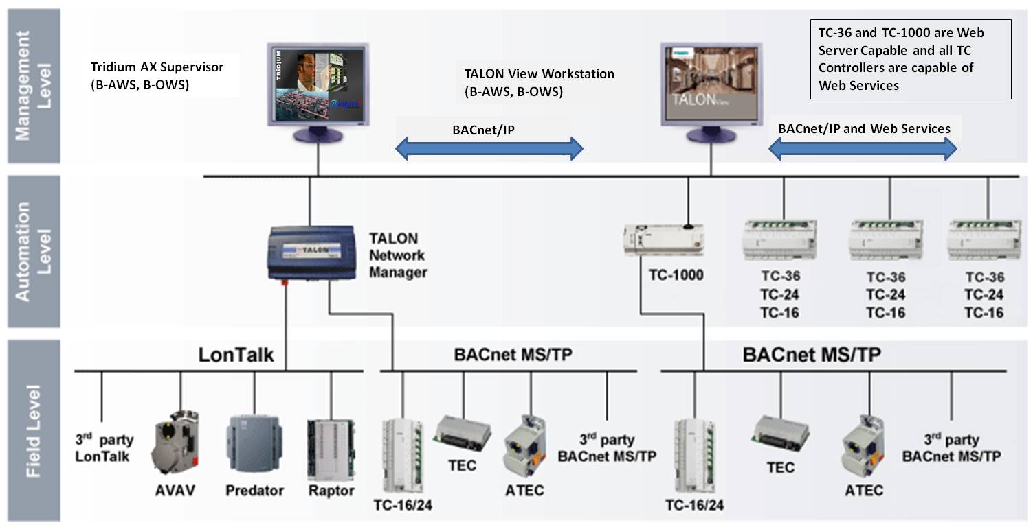 timeline